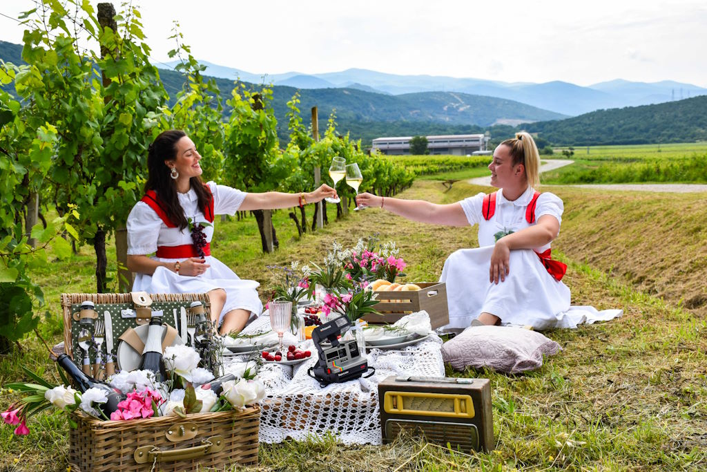 Pjenušavi doručak u vinariji Pavlomir donio vrhunske pjenušce i lokalne delicije | Karlobag.eu