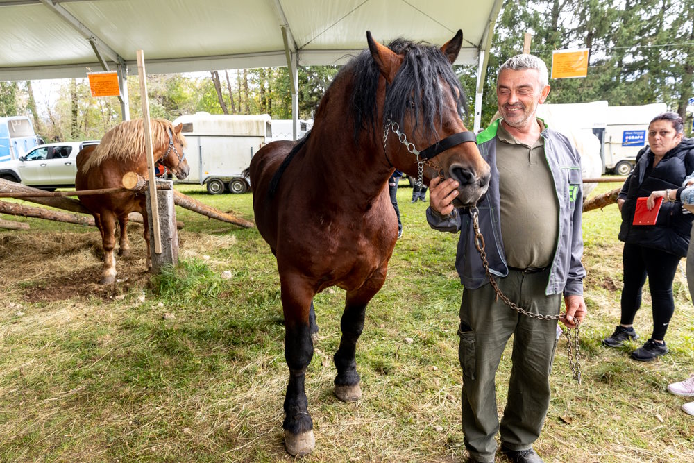 Die Ausstellung von Pferden und kroatischer Tradition im Rahmen des Herbstes in Lika versammelte mehr als 30.000 Besucher