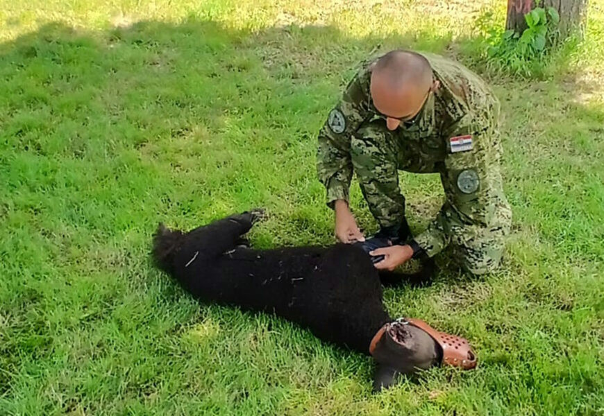 Mitglieder des Service Dog Guide Training Center nahmen an einer internationalen Schulung für militärpolizeiliche Aufgaben der NATO in Fritzlar, Deutschland, teil