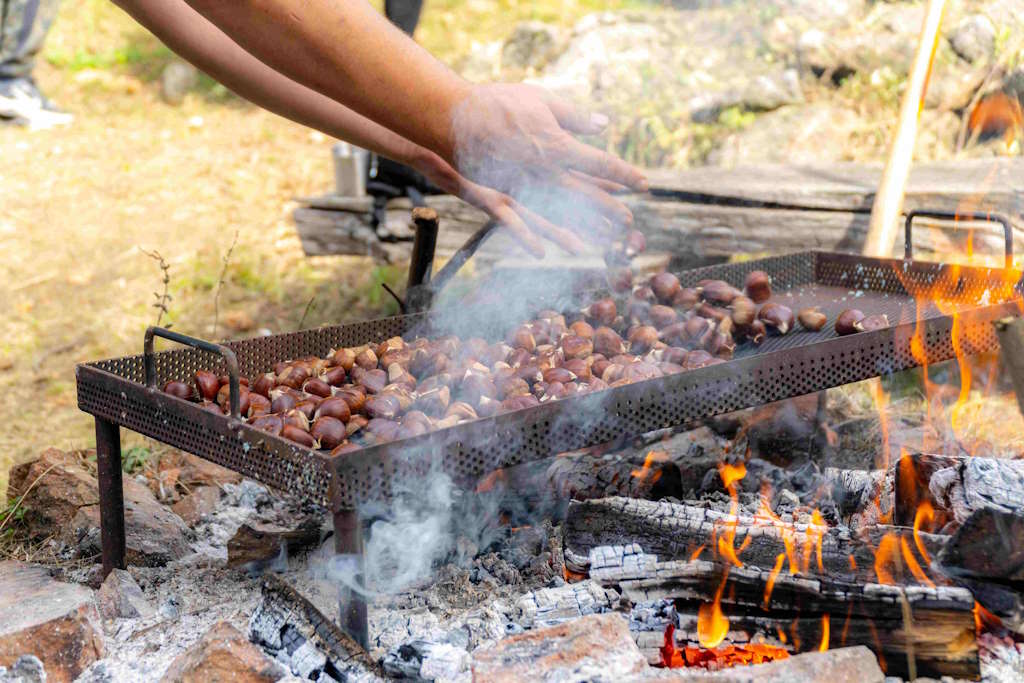 26. Festiwal Kasztanowy w Sweti Ivan Zelina przyciągnął tysiące zwiedzających bogatą ofertą gastronomiczną, konkursami i rodzinną zabawą