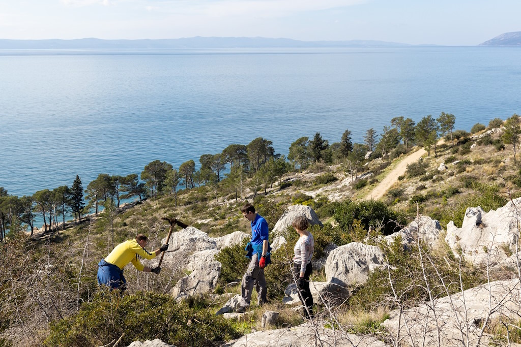 Valamar Tree Planting Initiative: "Easy as one, two, tree" contributes to the preservation of forests in Croatia with a plan to plant 10,000 trees in 2024