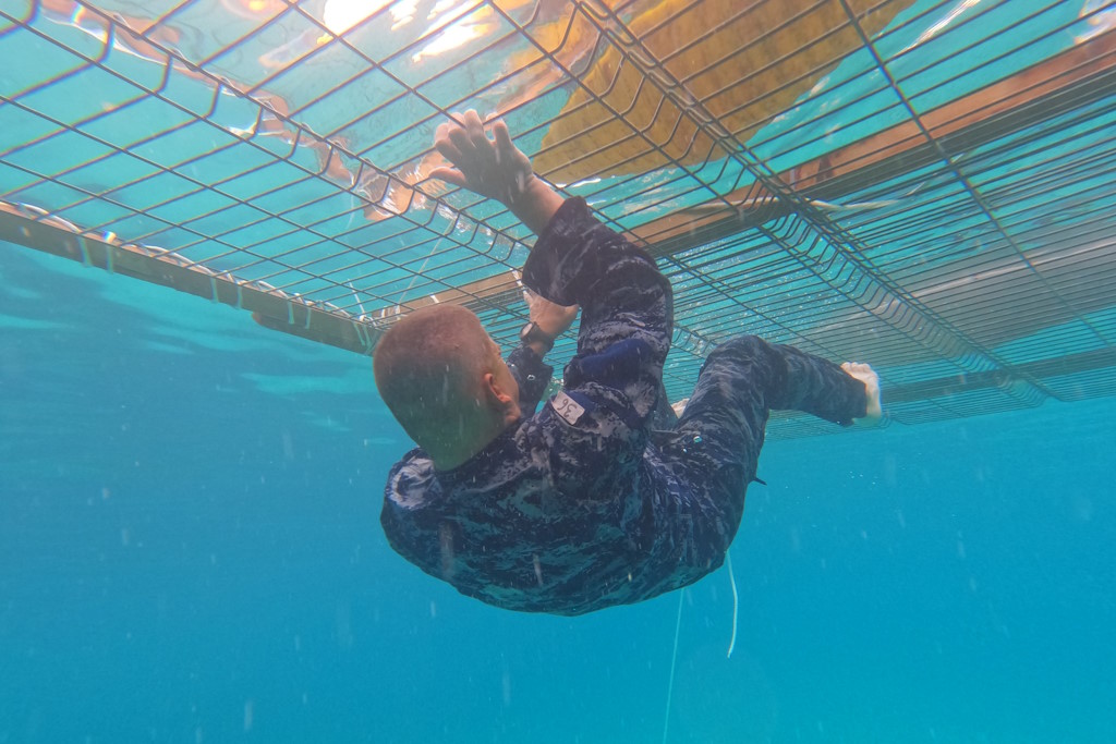 Mitglieder des LEADER-Entwicklungszentrums "Marko Babić" nehmen mit Unterstützung der Marineinfanterie am Seetraining auf Korčula teil