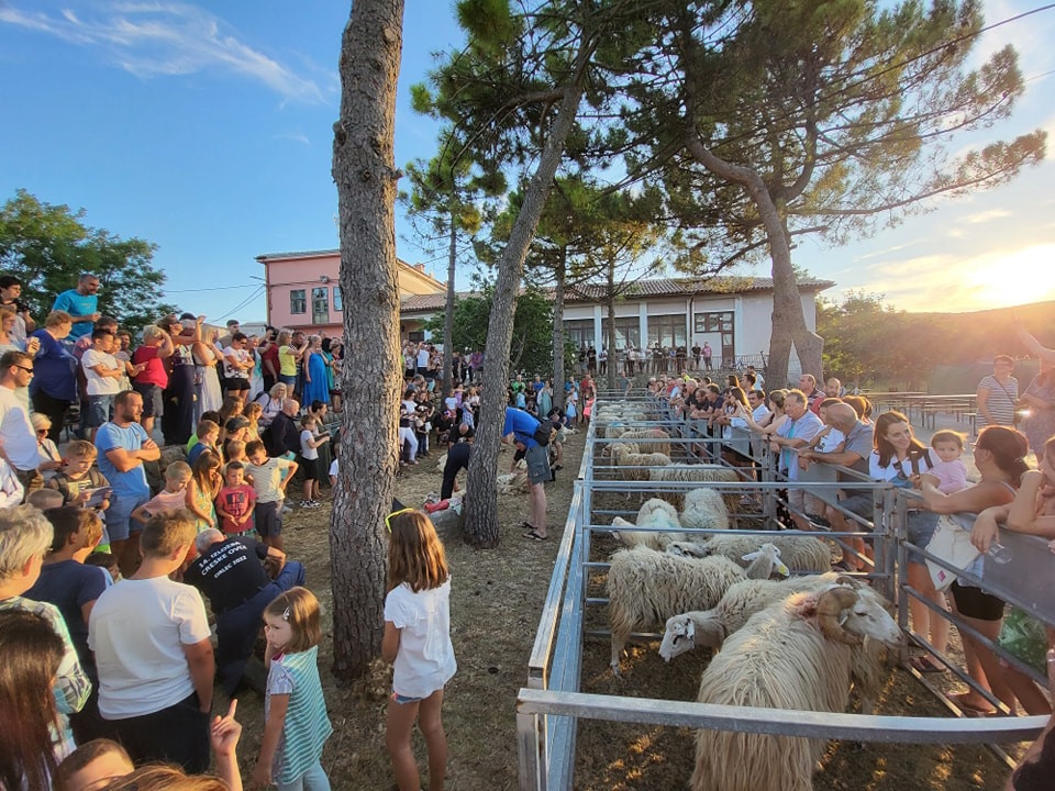 Visit Cres and enjoy the event "Cres sheep" with a rich program and performance by Alen Vitasović